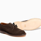 Longwing - Espresso Suede